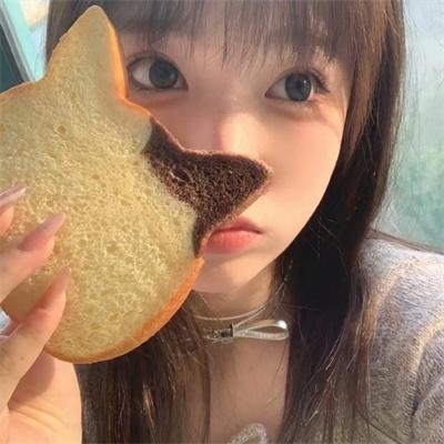 鸭川荷尔摩